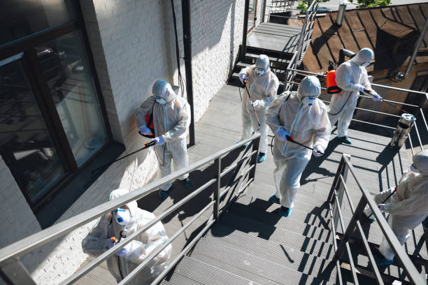 Best Mold Documentation for Insurance Claims  in Budd Lake, NJ