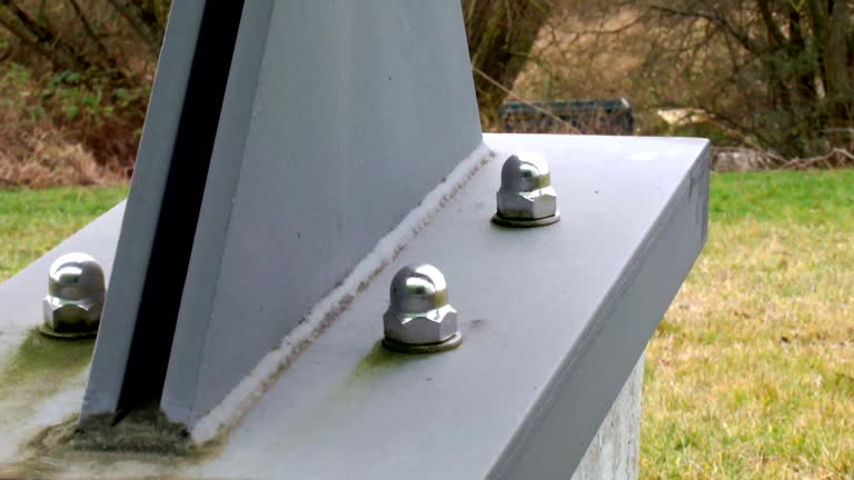 Best Commercial Mold Inspection  in Budd Lake, NJ